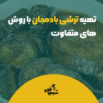 طرز تهیه انواع ترشی بادمجان