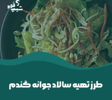 طرز تهیه سالاد جوانه گندم