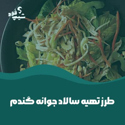 طرز تهیه سالاد جوانه گندم