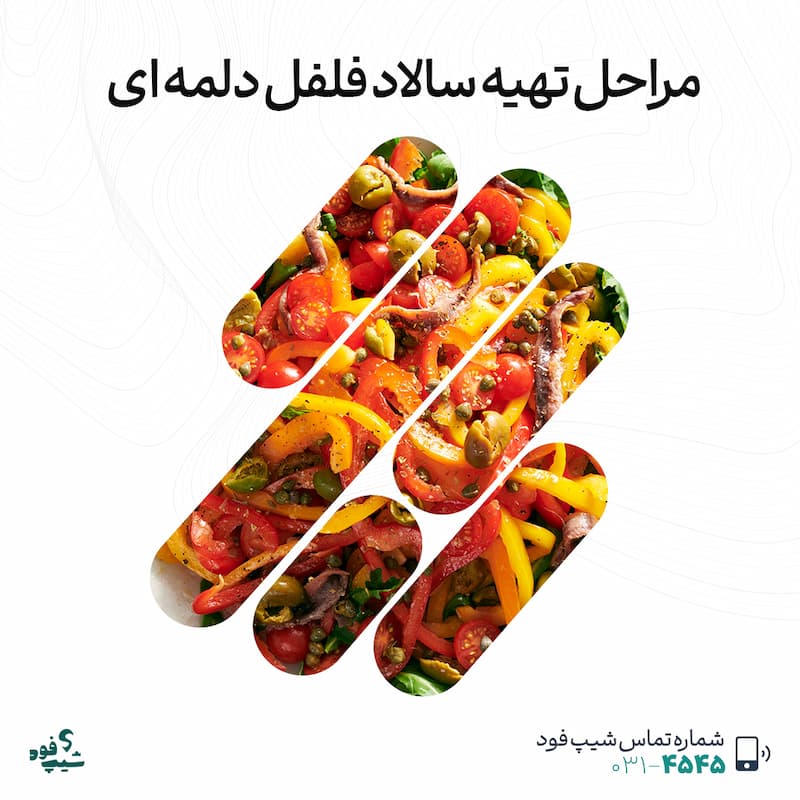 سالاد فلفل دلمهای