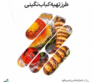 طرز تهیه کباب نگینی